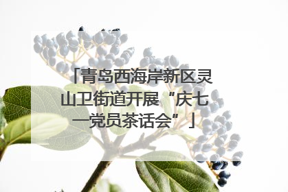 青岛西海岸新区灵山卫街道开展“庆七一党员茶话会”