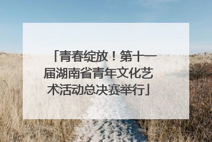 青春绽放！第十一届湖南省青年文化艺术活动总决赛举行
