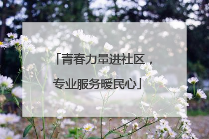 青春力量进社区，专业服务暖民心