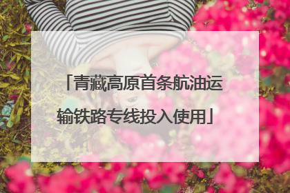 青藏高原首条航油运输铁路专线投入使用