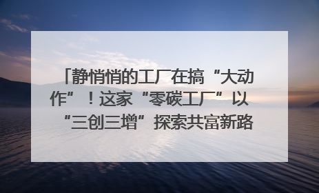 静悄悄的工厂在搞“大动作”！这家“零碳工厂”以“三创三增”探索共富新路径｜网络名人四川行