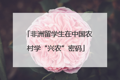 非洲留学生在中国农村学“兴农”密码