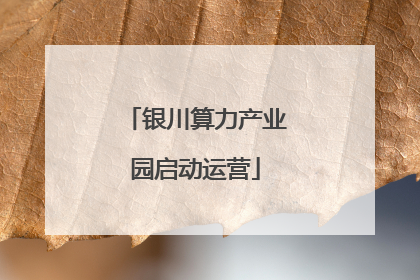 银川算力产业园启动运营