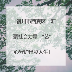 银川市西夏区：汇聚社会力量 “艺”心守护出彩人生