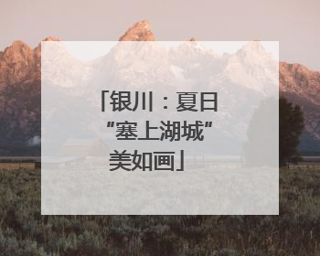 银川：夏日“塞上湖城”美如画