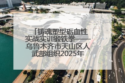 铸魂塑型砺血性 实战实训锻铁拳——乌鲁木齐市天山区人武部组织2025年度民兵集中轮训