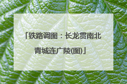 铁路调图：长龙贯南北 青城连广陵(图)