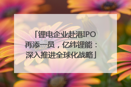 锂电企业赴港IPO再添一员，亿纬锂能：深入推进全球化战略
