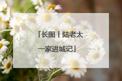 长图丨陆老太一家进城记
