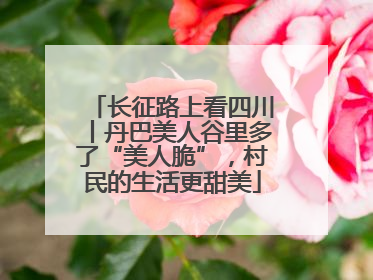长征路上看四川丨丹巴美人谷里多了“美人脆”，村民的生活更甜美