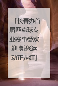 长春办首届匹克球专业赛事受欢迎 新兴运动正走红