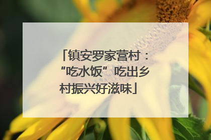 镇安罗家营村：“吃水饭”吃出乡村振兴好滋味