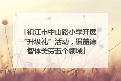 镇江市中山路小学开展“升级礼”活动，覆盖德智体美劳五个领域