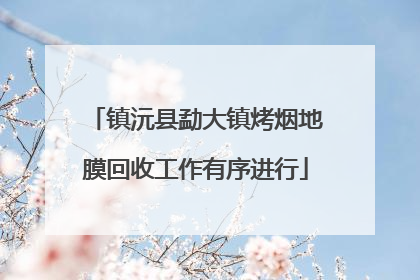 镇沅县勐大镇烤烟地膜回收工作有序进行