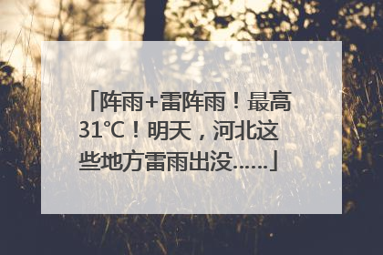 阵雨+雷阵雨！最高31℃！明天，河北这些地方雷雨出没……