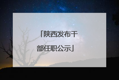 陕西发布干部任职公示