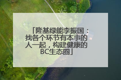 隆基绿能李振国：找各个环节有本事的人一起，构建健康的BC生态圈