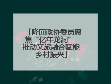 隆回政协委员聚焦“亿年龙洞” 推动文旅融合赋能乡村振兴