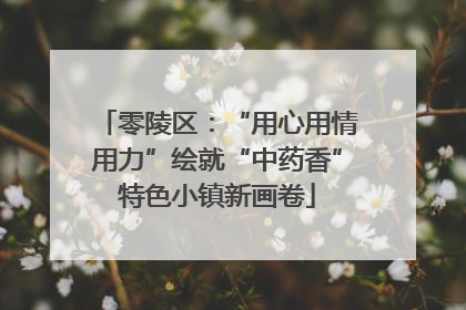零陵区：“用心用情用力”绘就“中药香”特色小镇新画卷