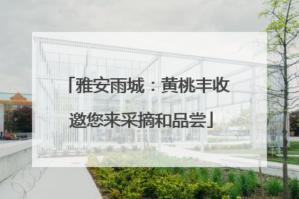 雅安雨城：黄桃丰收 邀您来采摘和品尝