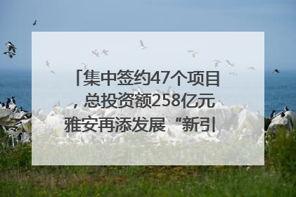 集中签约47个项目，总投资额258亿元 雅安再添发展“新引擎”｜数读西投
