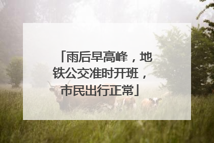 雨后早高峰，地铁公交准时开班，市民出行正常