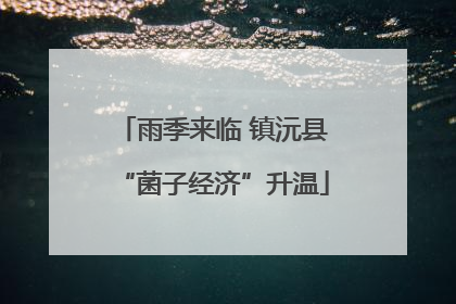 雨季来临 镇沅县“菌子经济”升温