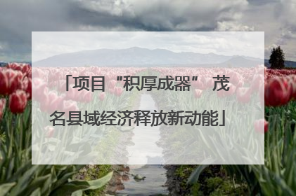 项目“积厚成器” 茂名县域经济释放新动能