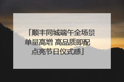 顺丰同城端午全场景单量高增 高品质即配点亮节日仪式感