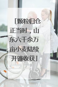 颗粒归仓正当时，山东六千余万亩小麦陆续开镰收获