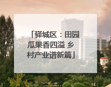 驿城区：田园瓜果香四溢 乡村产业谱新篇