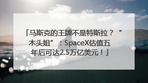 马斯克的王牌不是特斯拉？“木头姐”：SpaceX估值五年后可达2.5万亿美元！