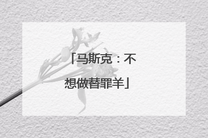 马斯克：不想做替罪羊