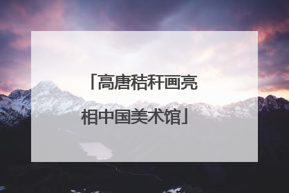 高唐秸秆画亮相中国美术馆
