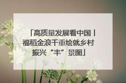 高质量发展看中国丨福稻金浪千重绘就乡村振兴“丰”景图