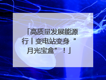 高质量发展能源行丨变电站变身“月光宝盒”！