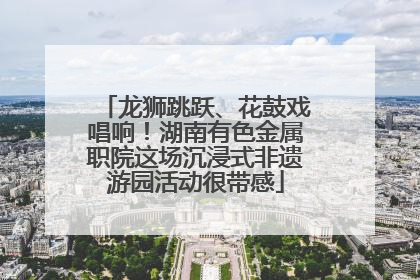 龙狮跳跃、花鼓戏唱响！湖南有色金属职院这场沉浸式非遗游园活动很带感