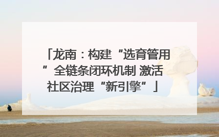 龙南：构建“选育管用”全链条闭环机制 激活社区治理“新引擎”