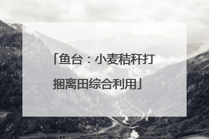 鱼台：小麦秸秆打捆离田综合利用