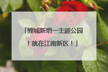 鲤城新增一主题公园！就在江南新区！