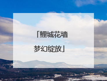 鲤城花墙 梦幻绽放