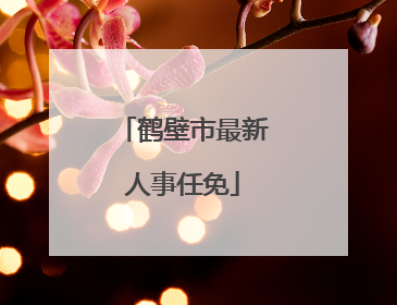 鹤壁市最新人事任免