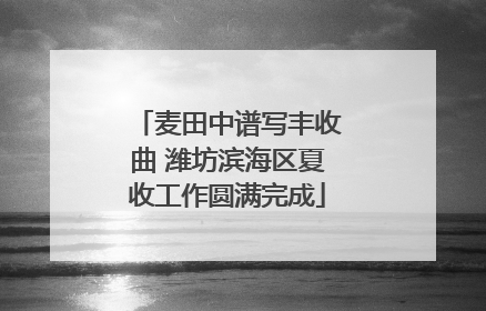 麦田中谱写丰收曲 潍坊滨海区夏收工作圆满完成