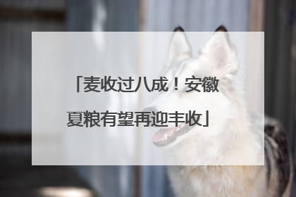 麦收过八成！安徽夏粮有望再迎丰收