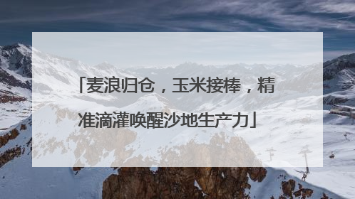 麦浪归仓，玉米接棒，精准滴灌唤醒沙地生产力