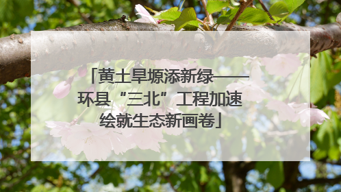 黄土旱塬添新绿——环县“三北”工程加速绘就生态新画卷