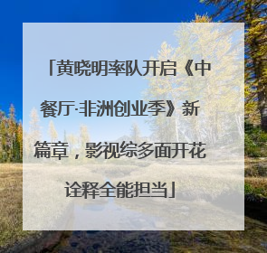 黄晓明率队开启《中餐厅·非洲创业季》新篇章，影视综多面开花诠释全能担当