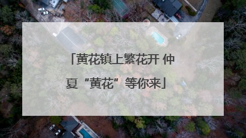 黄花镇上繁花开 仲夏“黄花”等你来