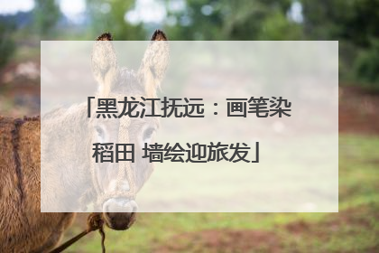 黑龙江抚远：画笔染稻田 墙绘迎旅发