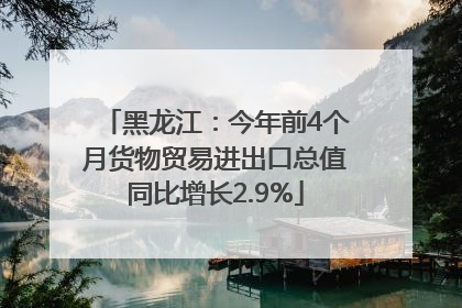 黑龙江：今年前4个月货物贸易进出口总值同比增长2.9%